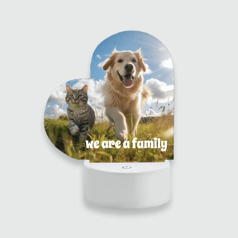 Custom Cat & Dog Acrylic Night Light for Pet Lovers Gift