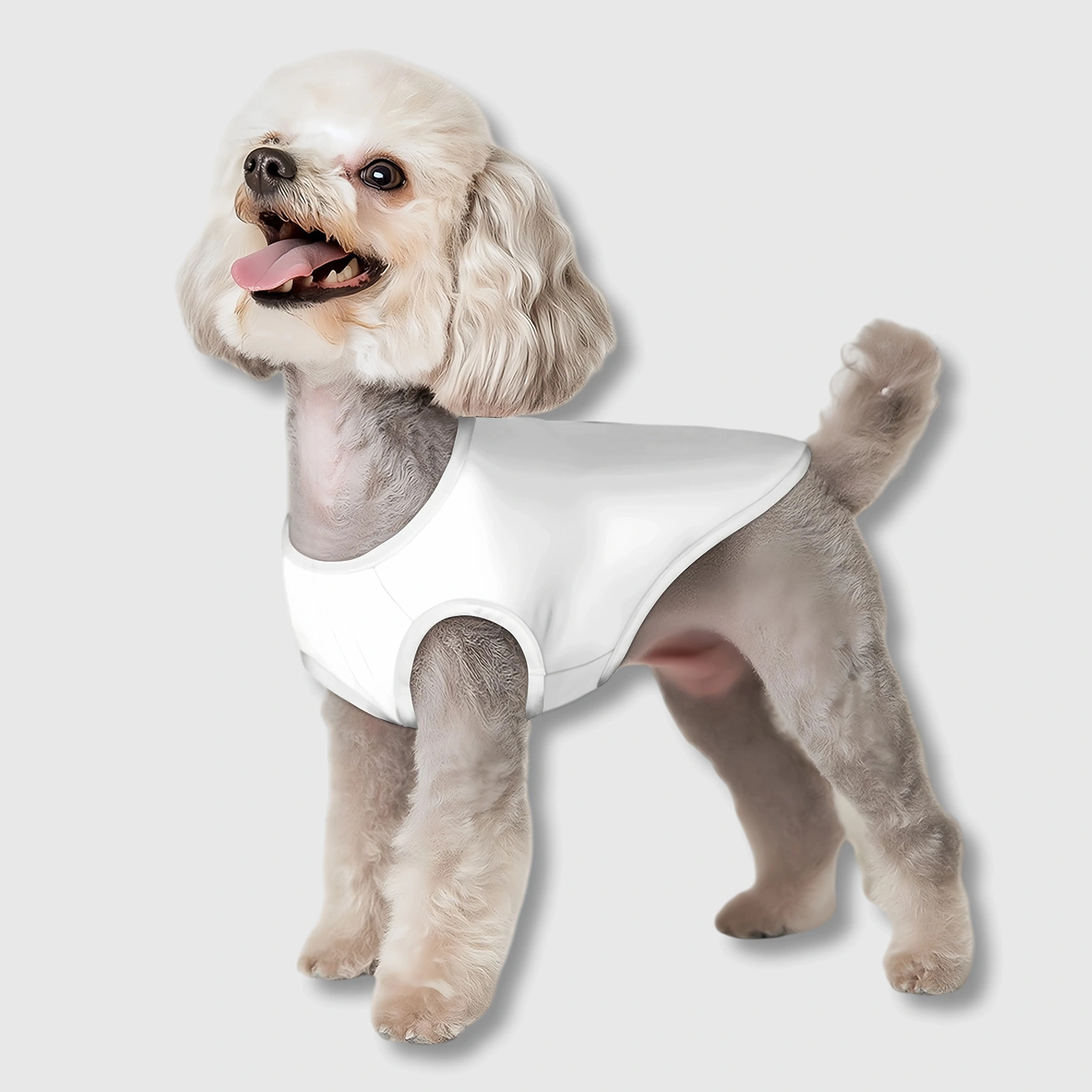 Custom Pet Summer Vest
