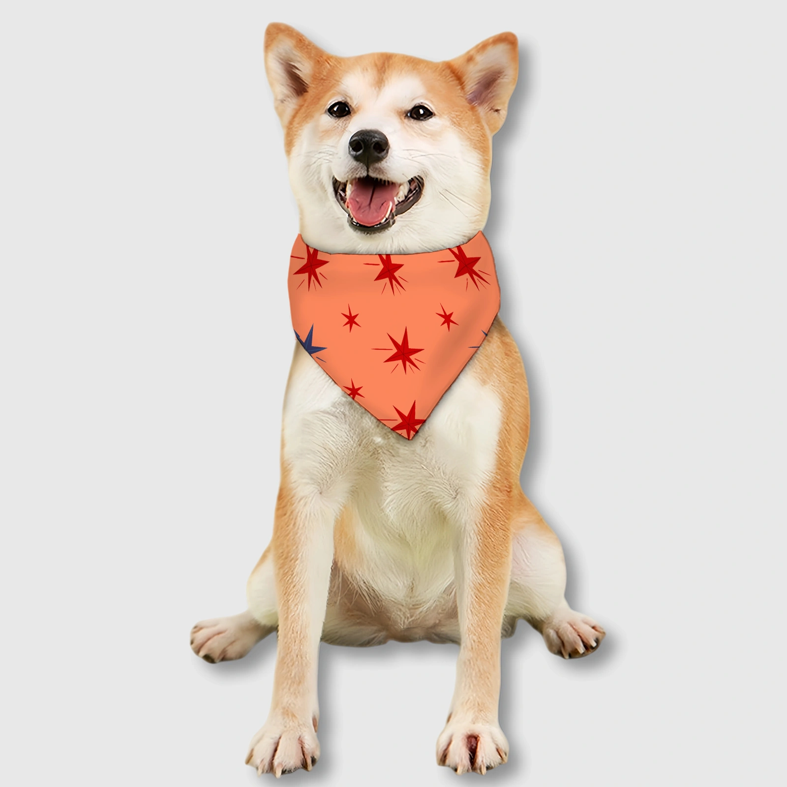 Custom Personalized Pet Bib – Practical Feeding Bib for Cats and Dogs, Everyday Use & Gift for Pet Lovers