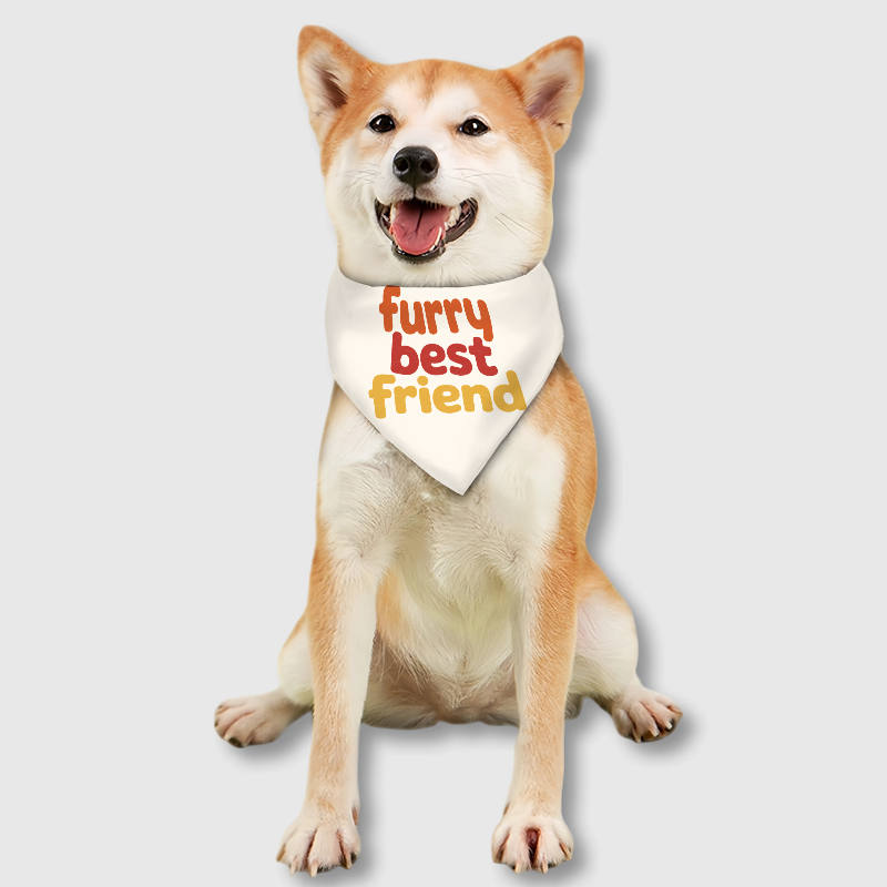 Furry Best Friend Pet Bandana Bib for Dogs Cute Gift for Gotcha Days Birthdays & Daily Wear