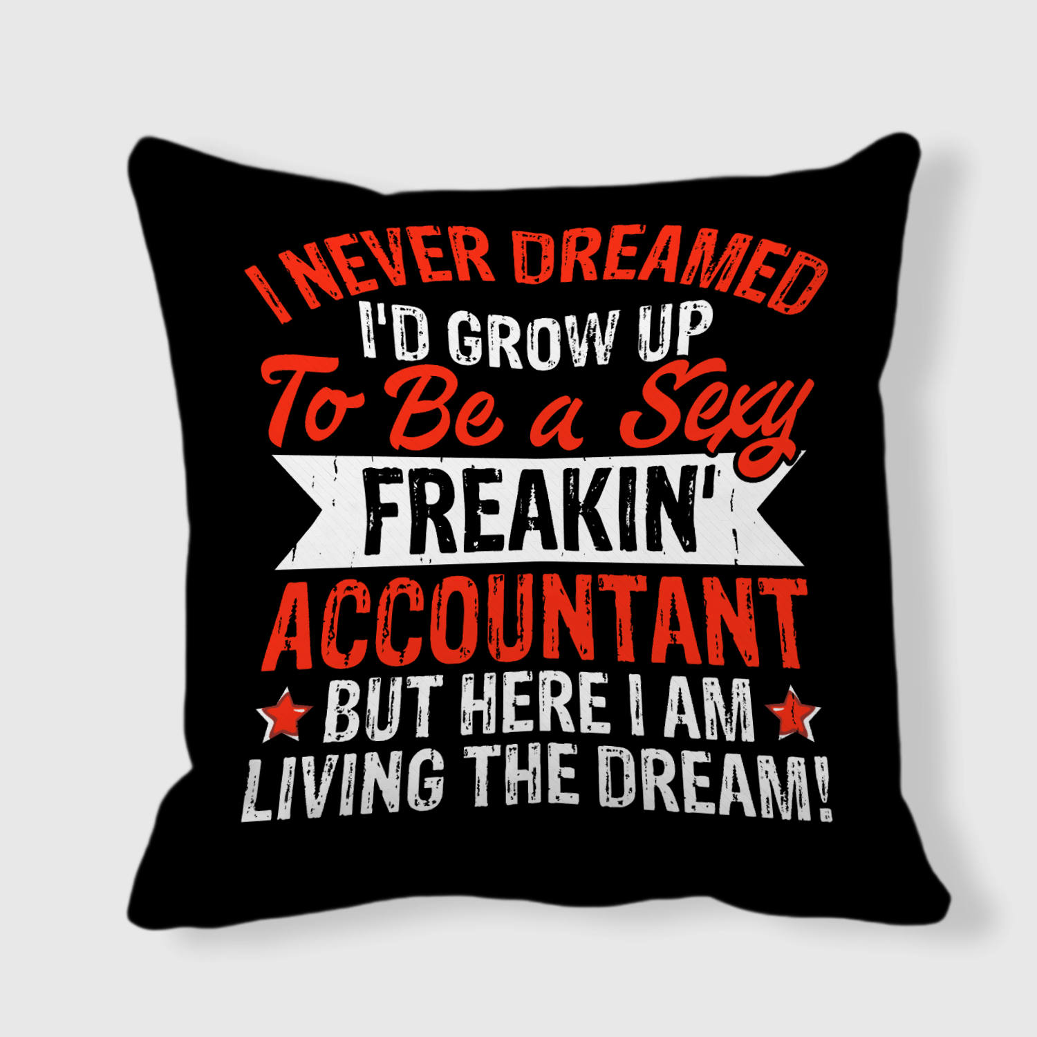 Funny Accountant Quote Throw Pillow for Accountant Birthday Gift