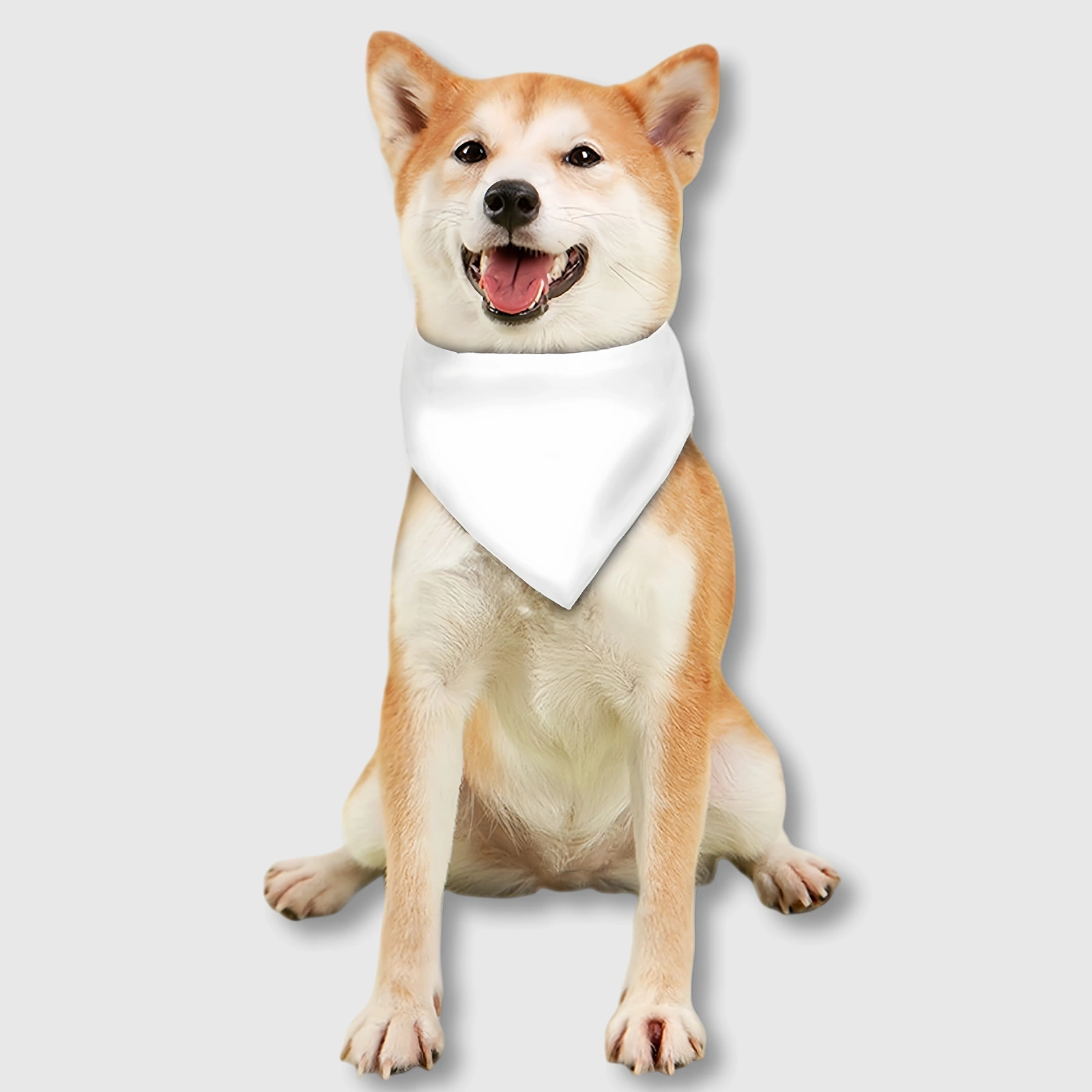 Custom Personalized Pet Bib