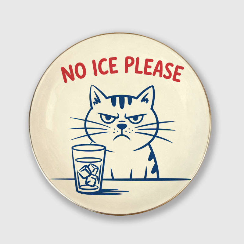 No Ice Please Grumpy Cat Round Ceramic Jewelry Tray Funny Gift for Cat Lovers Birthday Housewarming