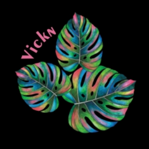 Vickn profile